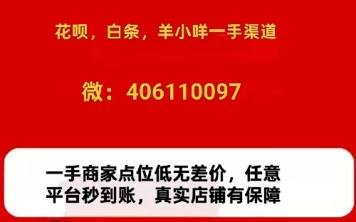 白条怎么套出来（2026年最新方案揭秘）