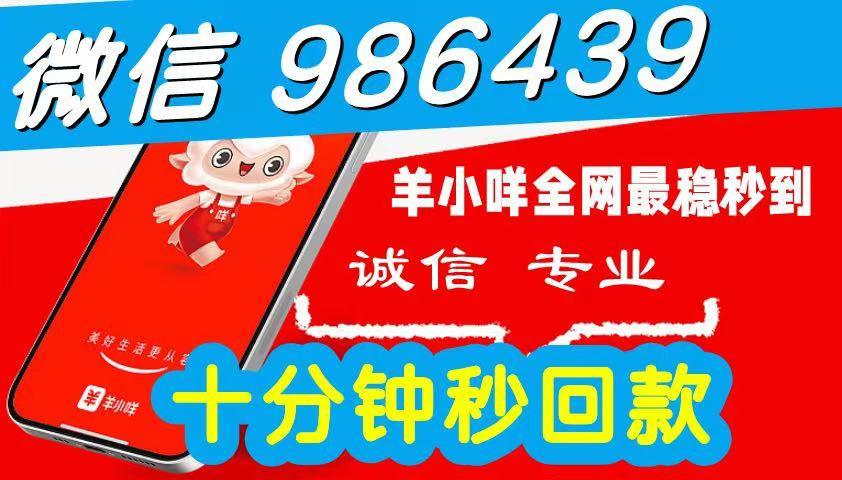 2026 羊小咩便荔卡包购物额度怎么快速操作秒到出来？（羊小咩最新秒到方法需要的保存收藏）